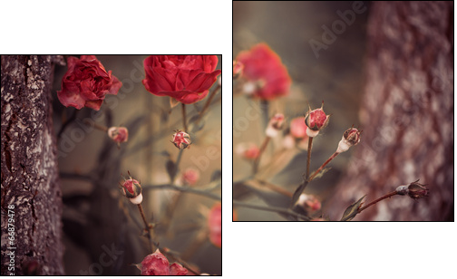 wild roses bush branches between tree branches - Two-piece canvas print, Diptych