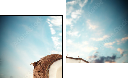 coconuts - Two-piece canvas print, Diptych