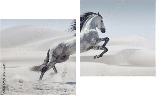 Picture presenting the galloping white horse - Two-piece canvas print, Diptych
