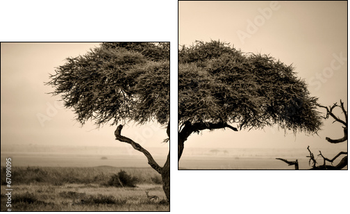Lone acacia tree with gazelles in sepia - Two-piece canvas print, Diptych
