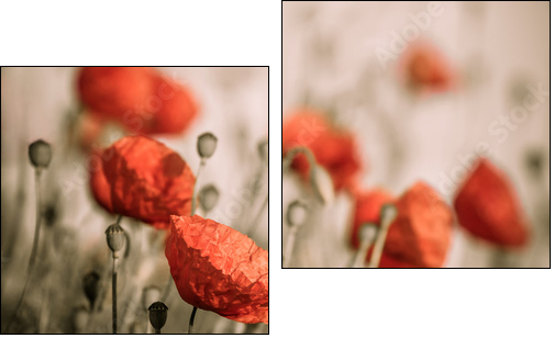 red poppy - Two-piece canvas print, Diptych
