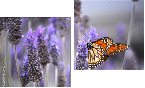 Butterfly with lavenders - Two-piece canvas print, Diptych