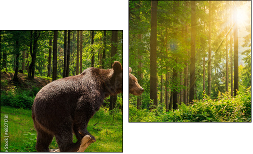 curious little bear in the forest - Two-piece canvas print, Diptych