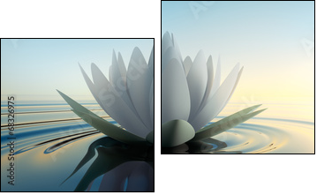 LotusblÃ¼te im See - Two-piece canvas print, Diptych
