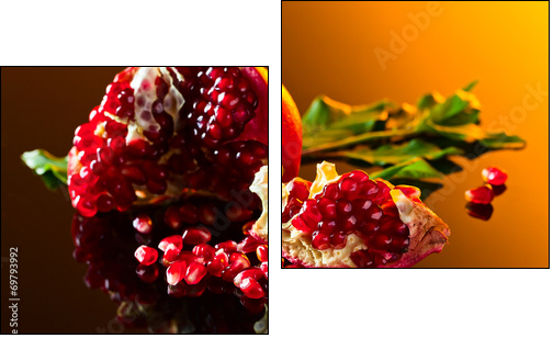 pomegranate - Two-piece canvas print, Diptych