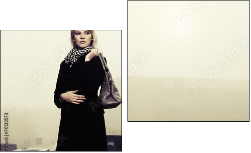 Young fashion woman with handbag on the foggy city street - Two-piece canvas print, Diptych
