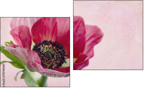 Closeup of anemone flower2 - Two-piece canvas print, Diptych