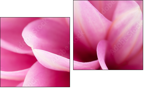 Pink dahlia close-up - Two-piece canvas print, Diptych