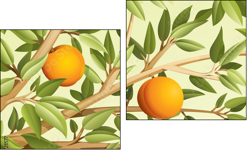 Peaches - Two-piece canvas print, Diptych