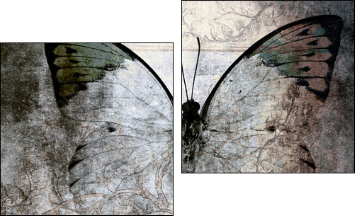 butterfly - Two-piece canvas print, Diptych