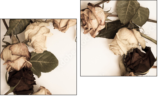 withered rose - Two-piece canvas print, Diptych