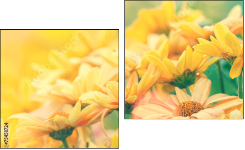 Vintage flower lawn for background - Two-piece canvas print, Diptych