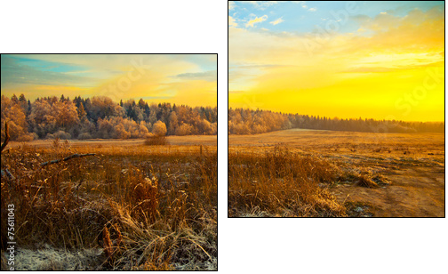 Field, forest, dry grass - beautiful landscape at sunset - Two-piece canvas print, Diptych