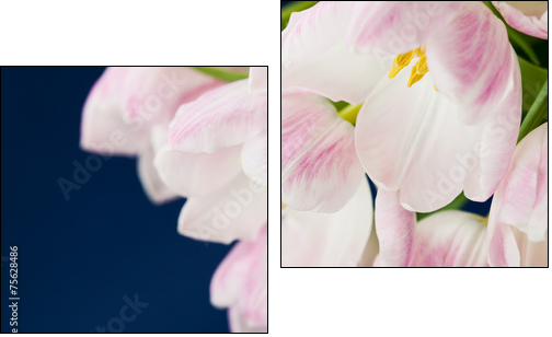 Pink tulips in vase on dark blue background - Two-piece canvas print, Diptych