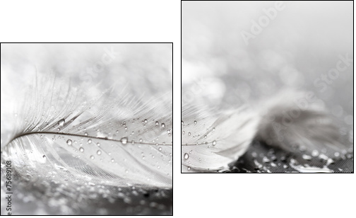 White feather with water drops - Two-piece canvas print, Diptych