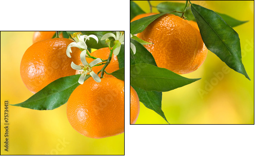 ripe tangerine on a yellow background - Two-piece canvas print, Diptych