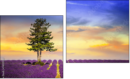 LAVENDER IN SOUTH OF FRANCE - Two-piece canvas print, Diptych
