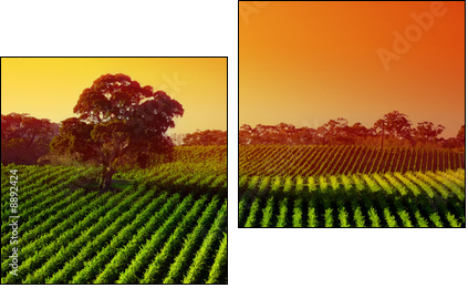 Beautiful Vineyard Landscape with large gum tree - Two-piece canvas print, Diptych