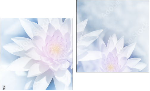 vivid color lotus in soft style for background - Two-piece canvas print, Diptych