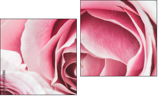Pink Rose Flower with shallow depth of field and focus the centre of rose flower  - Two-piece canvas print, Diptych