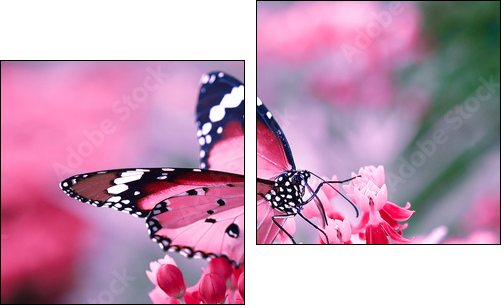 Butterfly on orange flower - Two-piece canvas print, Diptych