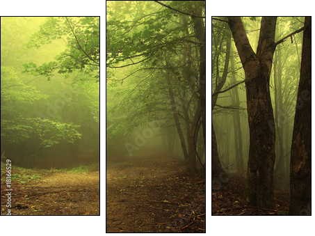 Green forest with fog - Three-piece canvas print, Triptych
