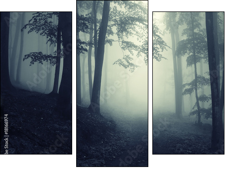 Forest - Three-piece canvas print, Triptych