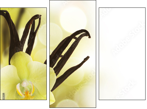 Beautiful Vanilla beans and flower over blurred background - Three-piece canvas print, Triptych