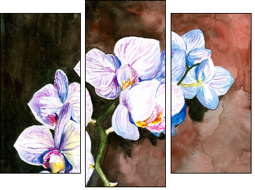 Orchid watercolor painted. - Three-piece canvas print, Triptych