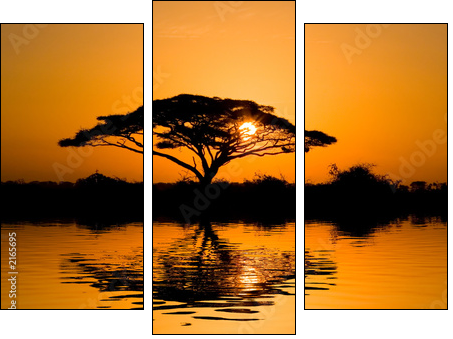 acacia tree at sunrise - Three-piece canvas print, Triptych