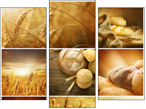 Wheat Collage.Harvest concepts - Three-piece canvas print, Triptych