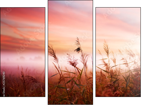 Foggy Landscape.Early Morning Mist. - Three-piece canvas print, Triptych
