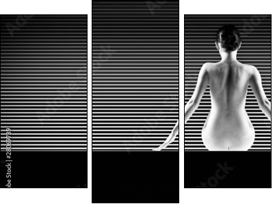black and white artistic nude; a back silhouette shot on striped - Three-piece canvas print, Triptych
