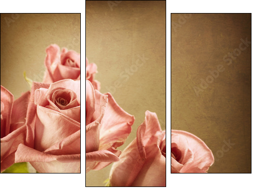 Beautiful Pink Roses. Vintage Styled. Sepia toned - Three-piece canvas print, Triptych
