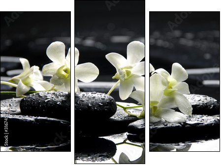 Zen stones and white orchids with reflection - Three-piece canvas print, Triptych