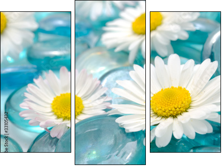 Daisy Flowers on Blue Glass Stones - Three-piece canvas print, Triptych