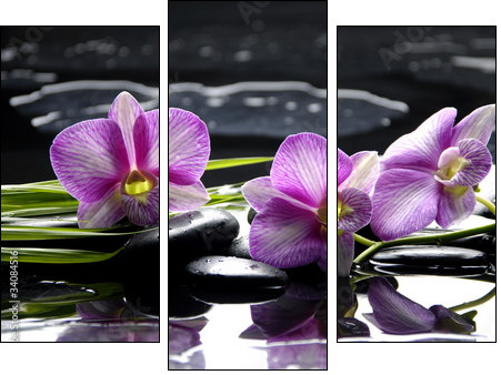 Pink orchid with bamboo leaf and stones with reflection - Three-piece canvas print, Triptych