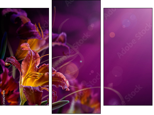 abstract floral background.With copy-space - Three-piece canvas print, Triptych