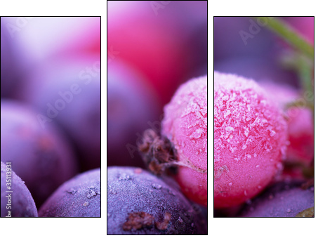 Frozen berries - Three-piece canvas print, Triptych