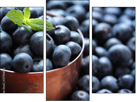 Blueberries - Three-piece canvas print, Triptych