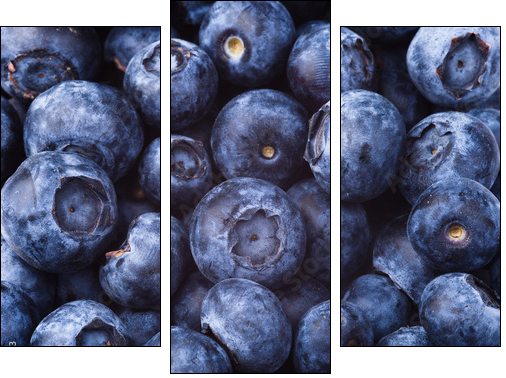 many blueberries - Three-piece canvas print, Triptych