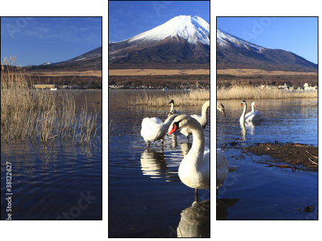 Mt. Fuji and Swans - Three-piece canvas print, Triptych