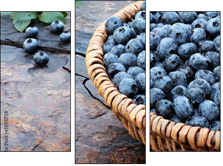 Fresh Blueberries - Three-piece canvas print, Triptych