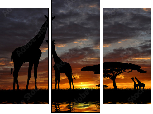giraffes in the sunset - Three-piece canvas print, Triptych
