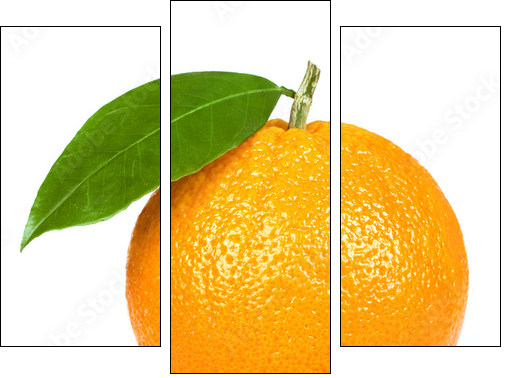 Ripe orange isolated on white background - Three-piece canvas print, Triptych