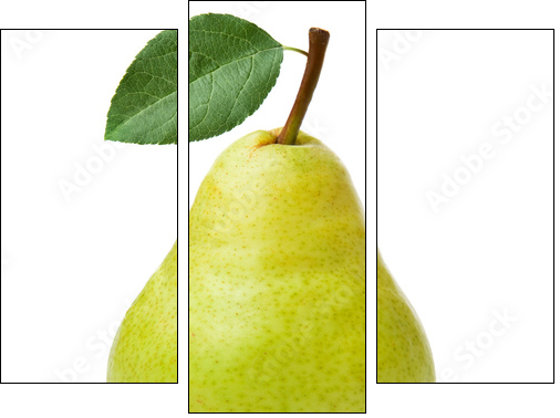 pears isolated on white background - Three-piece canvas print, Triptych