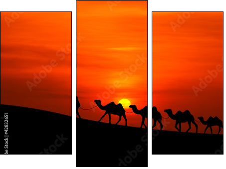 camel caravan sillhouette with sunset - Three-piece canvas print, Triptych