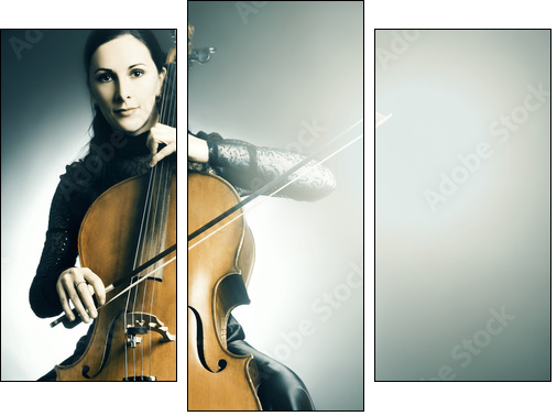 Cello musical instrument musician cellist playing - Three-piece canvas print, Triptych