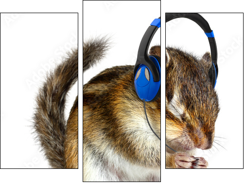 Funny chipmunk listening to music on headphones - Three-piece canvas print, Triptych