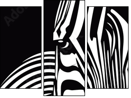 zebra - Three-piece canvas print, Triptych